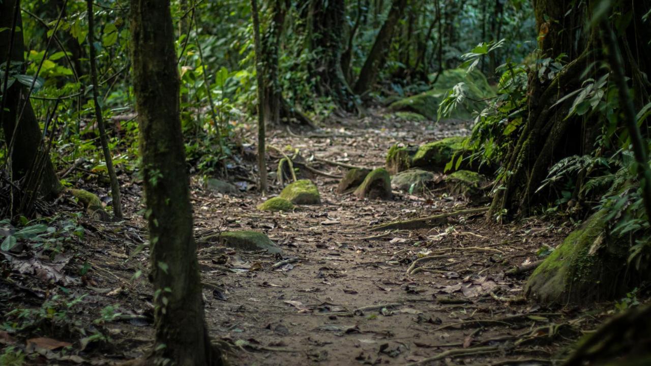 Hotel Rancho Cerro Azul La Fortuna Extérieur photo